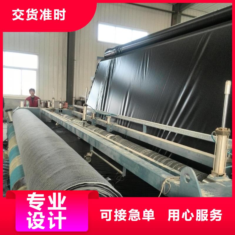 膨润土防水毯,【钢塑土工格栅】诚信为本鼎诺护坡土工网