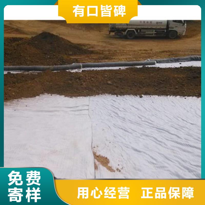 膨润土防水毯钢塑土工格栅老品牌厂家