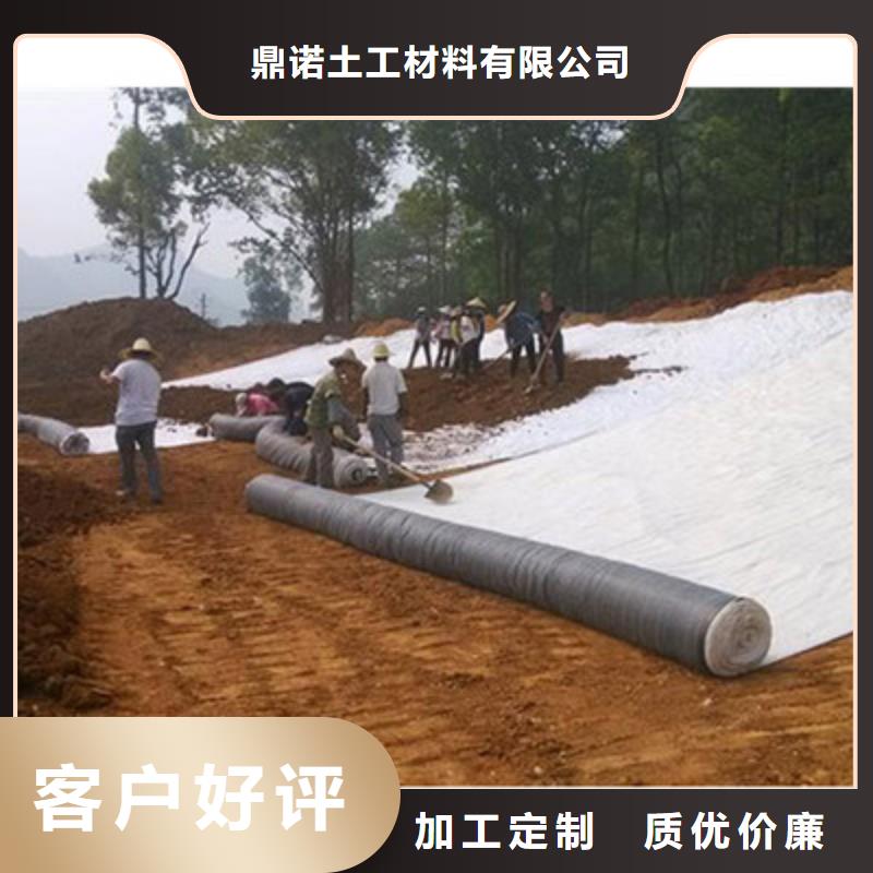 膨润土防水毯,【钢塑土工格栅】诚信为本鼎诺护坡土工网