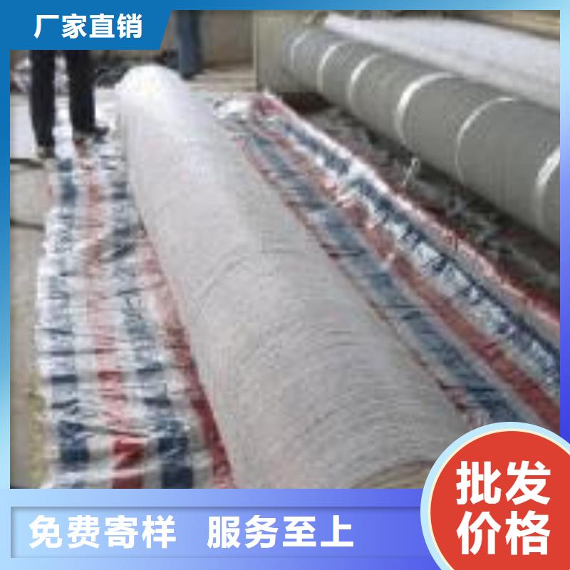 膨润土防水毯,【钢塑土工格栅】诚信为本鼎诺护坡土工网