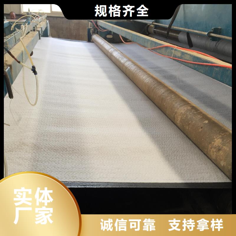 膨润土防水毯三维复合排水网专业完善售后