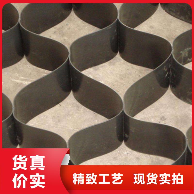 护坡土工网鼎诺【 土工格室-复合土工膜好品质售后无忧】
