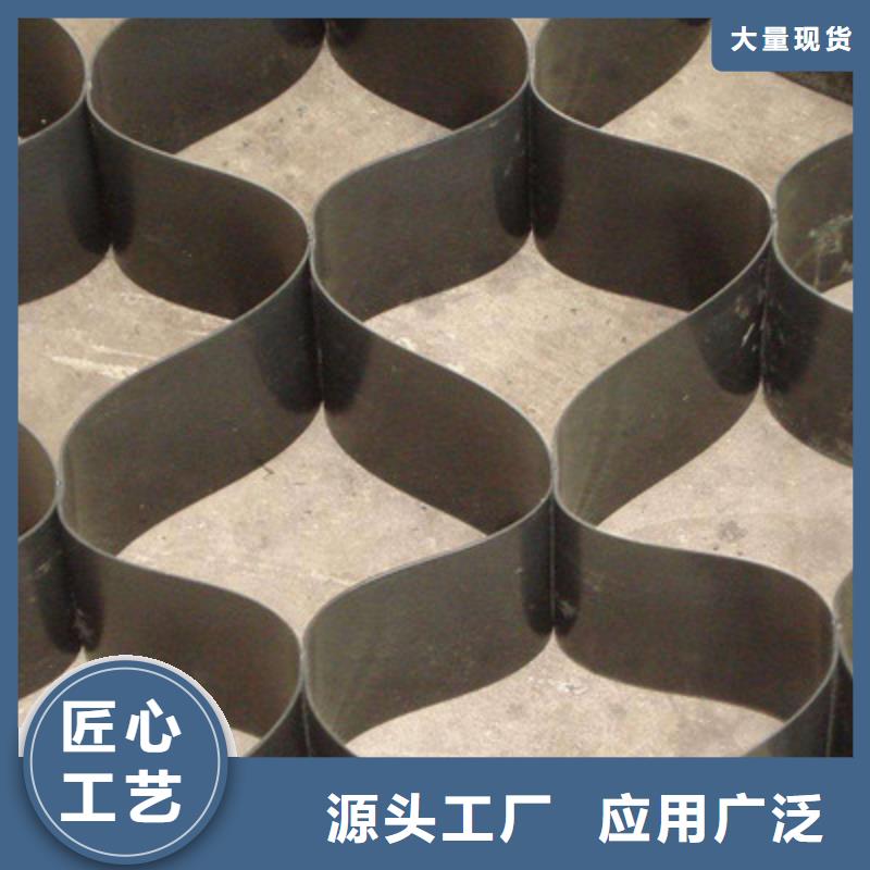 土工格室三维植被网极速发货
