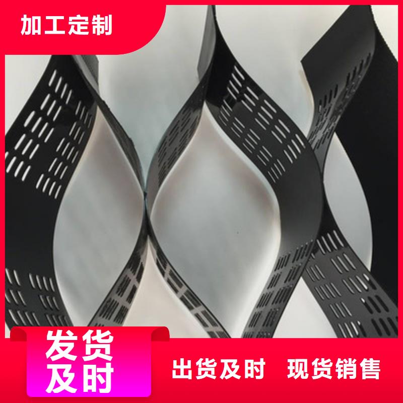 土工格室双向塑料土工格栅支持加工定制
