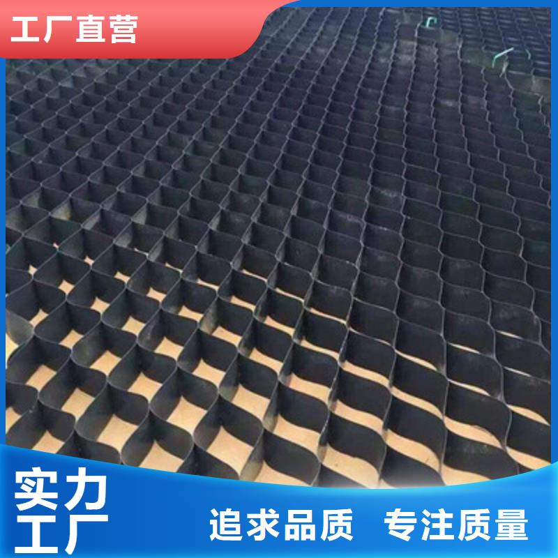 土工格室【水土保护毯】厂家工艺先进