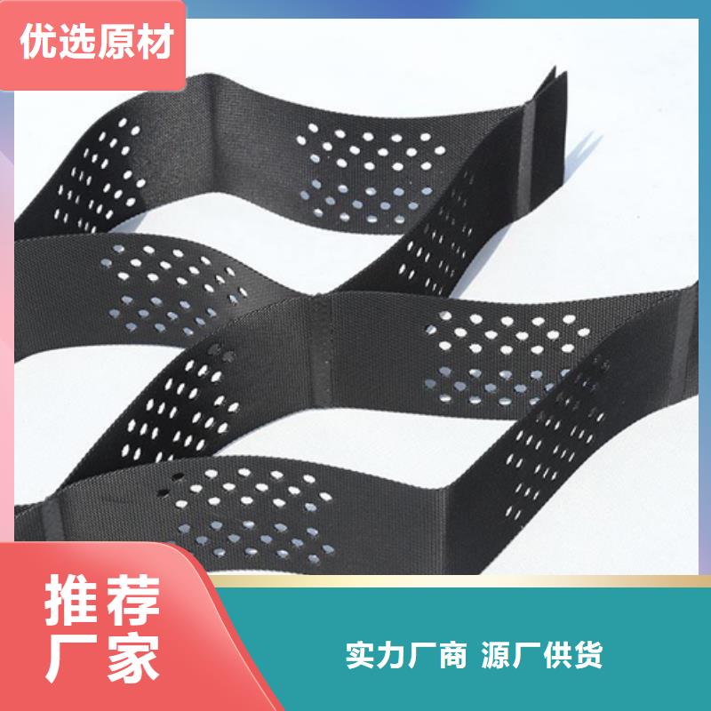 土工格室三维复合排水网买的放心