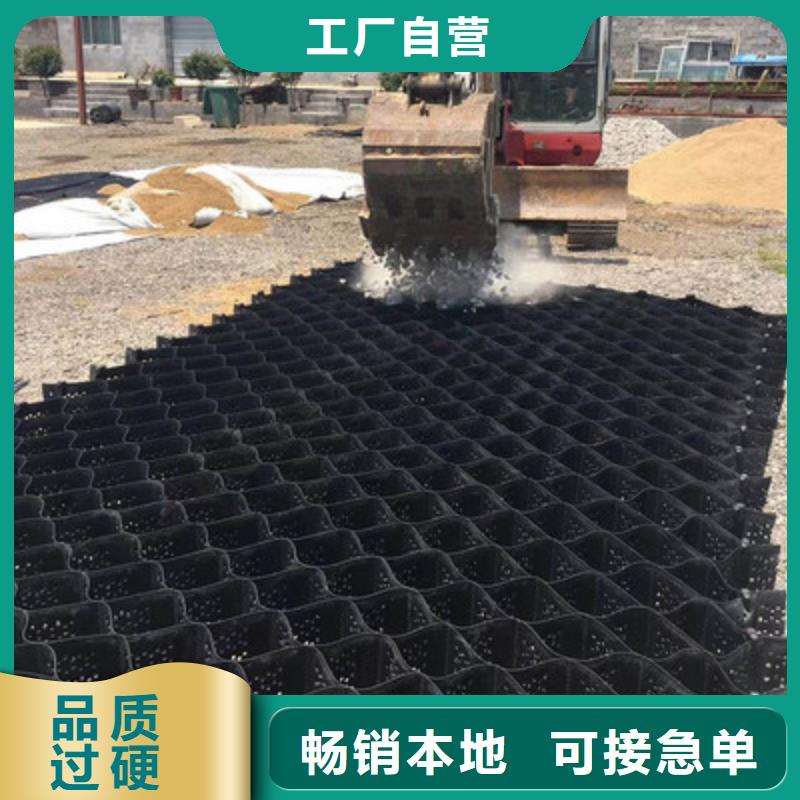 土工格室钢塑土工格栅畅销本地