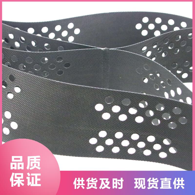【土工格室】-三维植被网售后服务完善-可发货到铁西|皇姑|抚顺|鞍山|锦州|营口|本溪|阜新