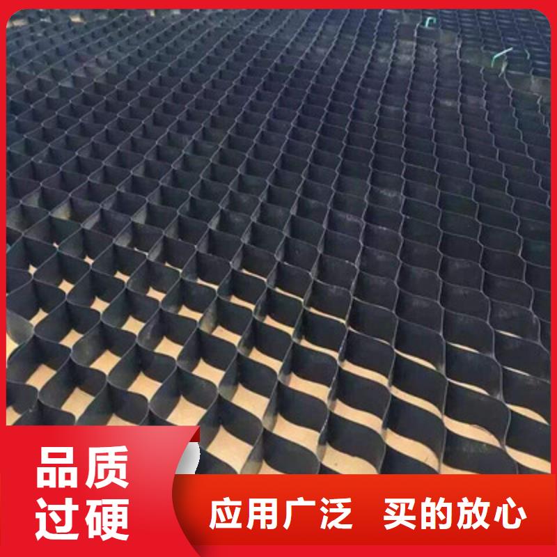【土工格室】-三维植被网售后服务完善-可发货到铁西|皇姑|抚顺|鞍山|锦州|营口|本溪|阜新