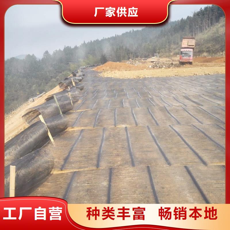 钢塑土工格栅复合土工膜的简单介绍