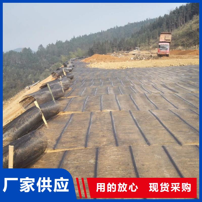 【不只是质量好 钢塑土工格栅 三维水土保护毯工厂自营】-源头采购-亿路通新材料