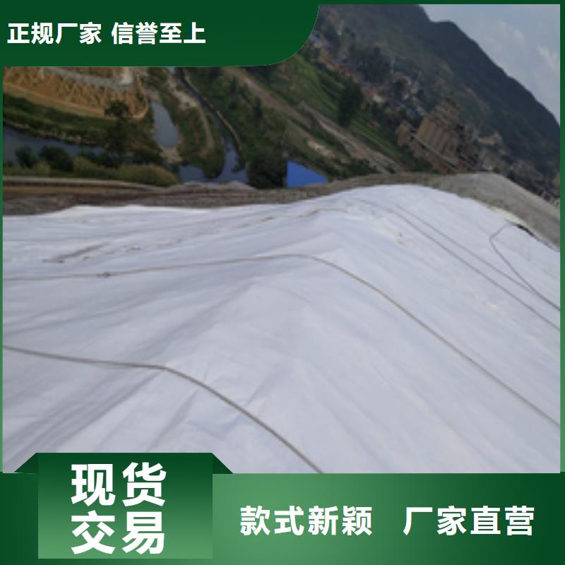 【 土工布 三维植被网厂家快捷物流】