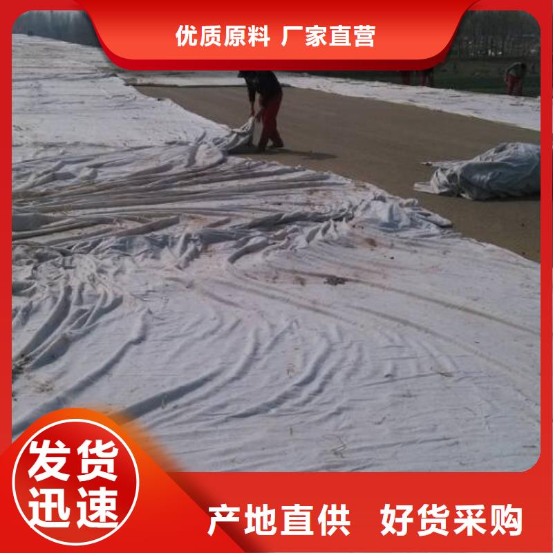 【 土工布 三维植被网厂家快捷物流】