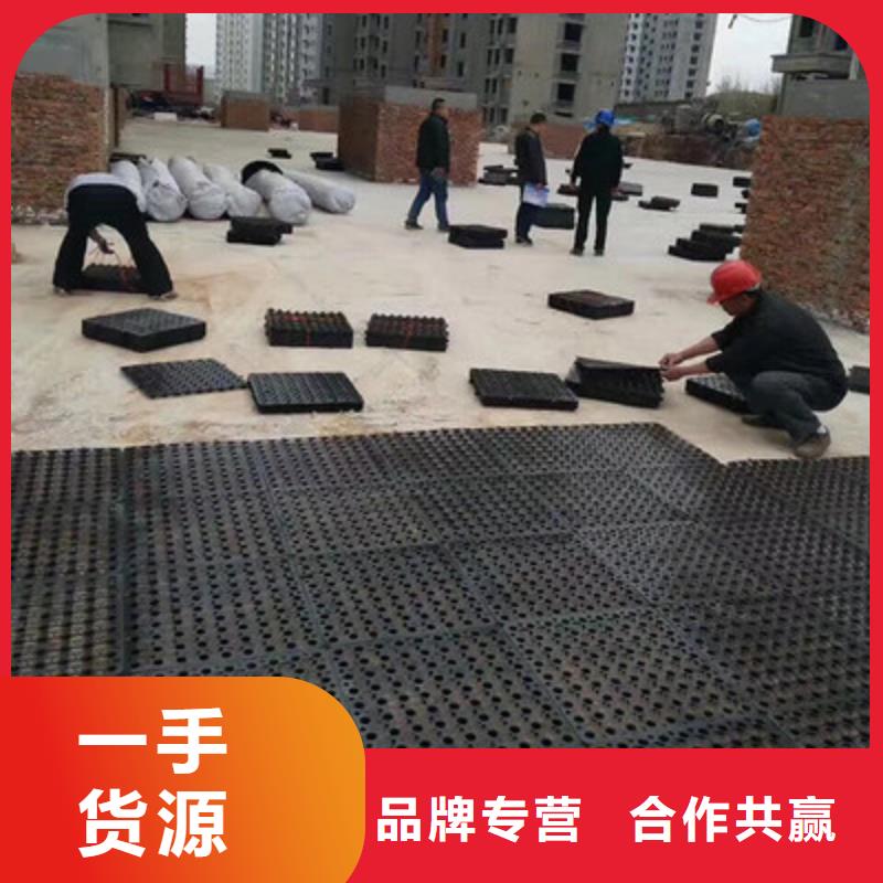 塑料排水板三维水土保护毯供应采购