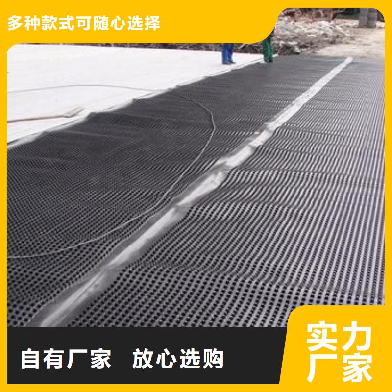 塑料排水板单向塑料土工格栅源厂直销
