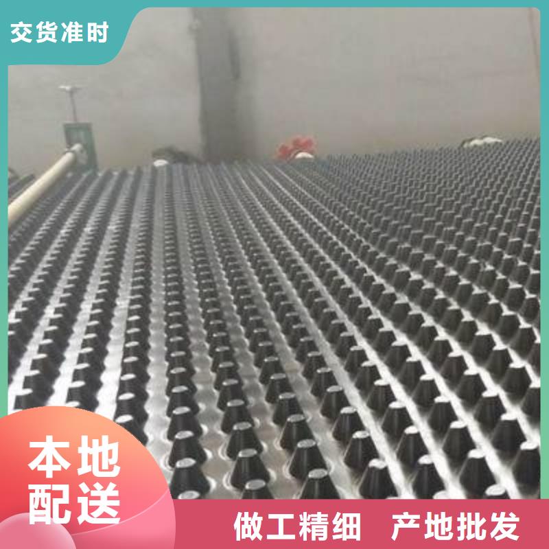 塑料排水板_【三维水土保护毯】对质量负责-服务区域包括吕梁|忻州|阳泉|晋城|长治|运城|晋中等-产品视频