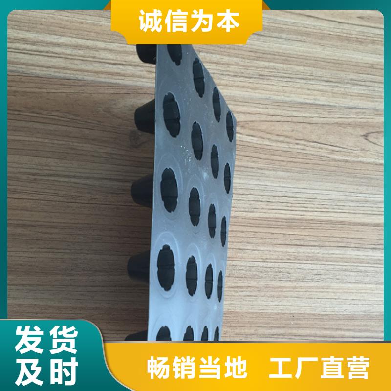 塑料排水板_凸结点钢塑土工格栅甄选好厂家