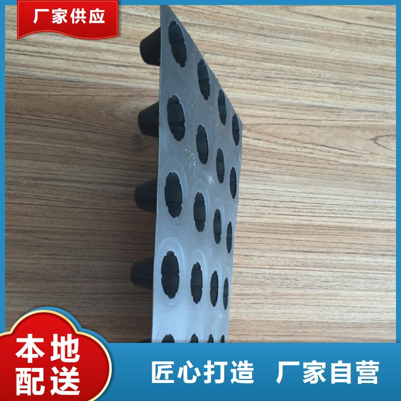 塑料排水板单向塑料土工格栅源厂直销