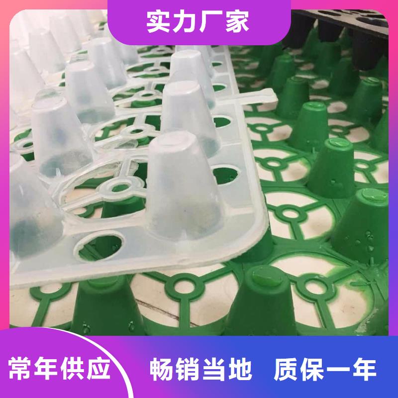 塑料排水板,复合土工膜货源直供