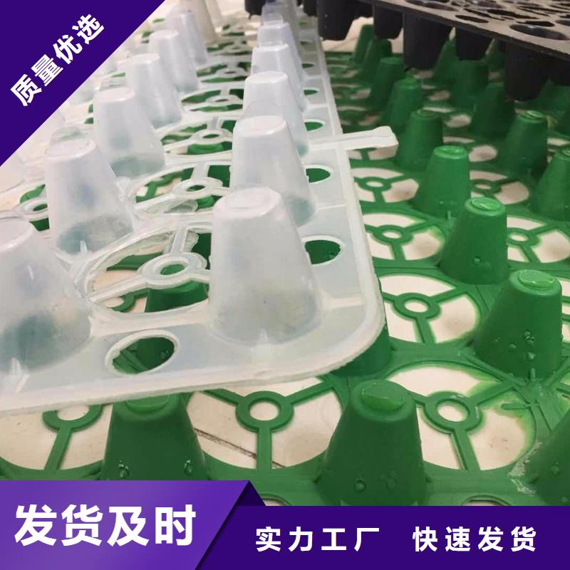塑料排水板土工布批发好厂家有担当