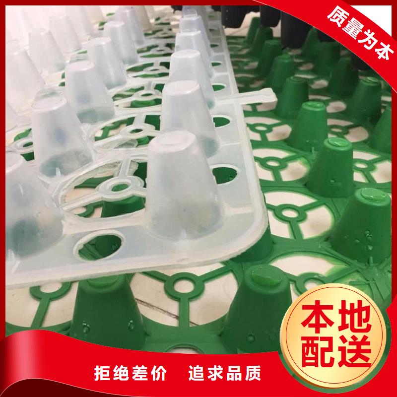 视频:【实体厂家支持定制 塑料排水板-土工布批发实力大厂家】-【当地】服务商