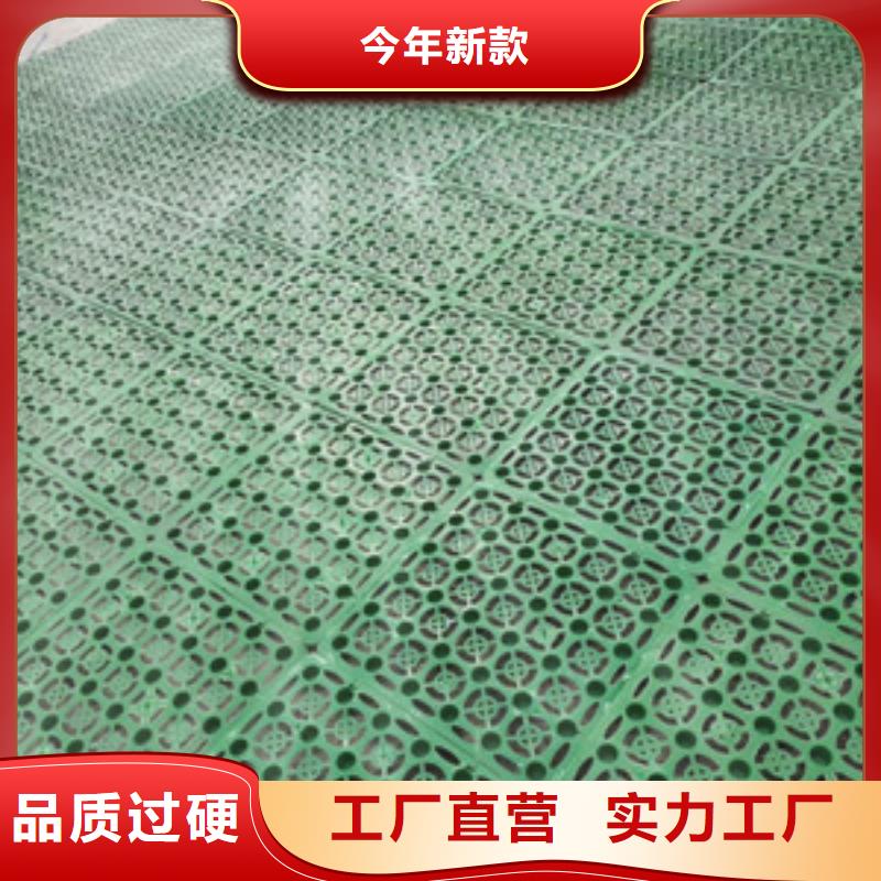 塑料排水板软式透水管货源充足
