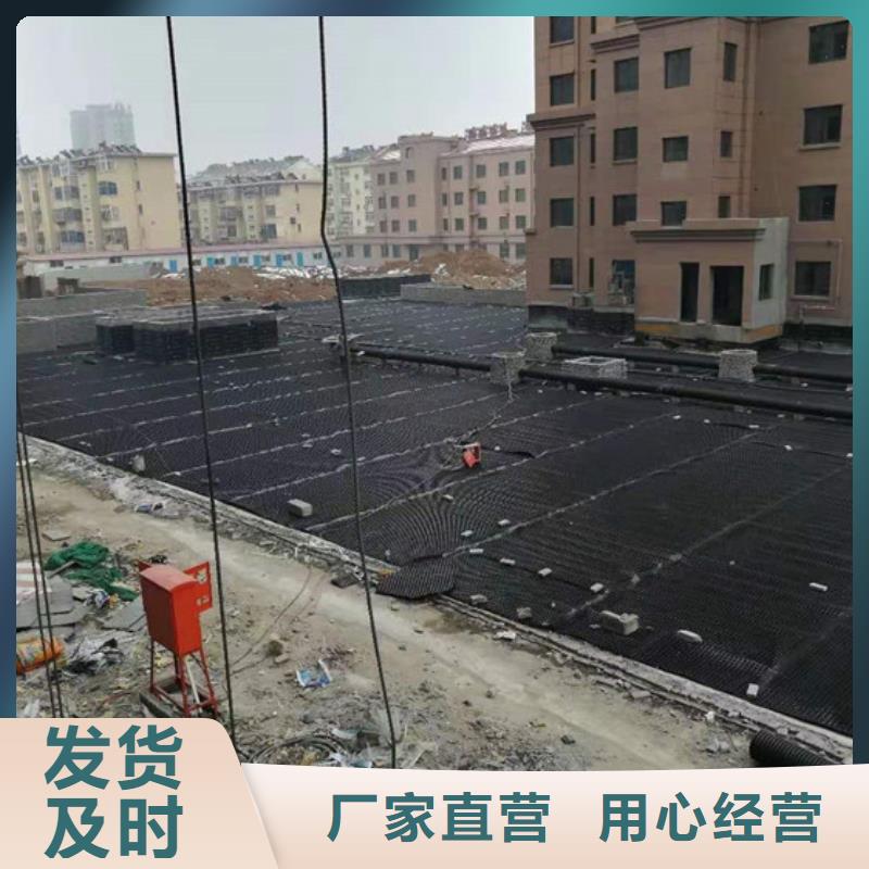 【塑料排水板土工格室拥有核心技术优势】