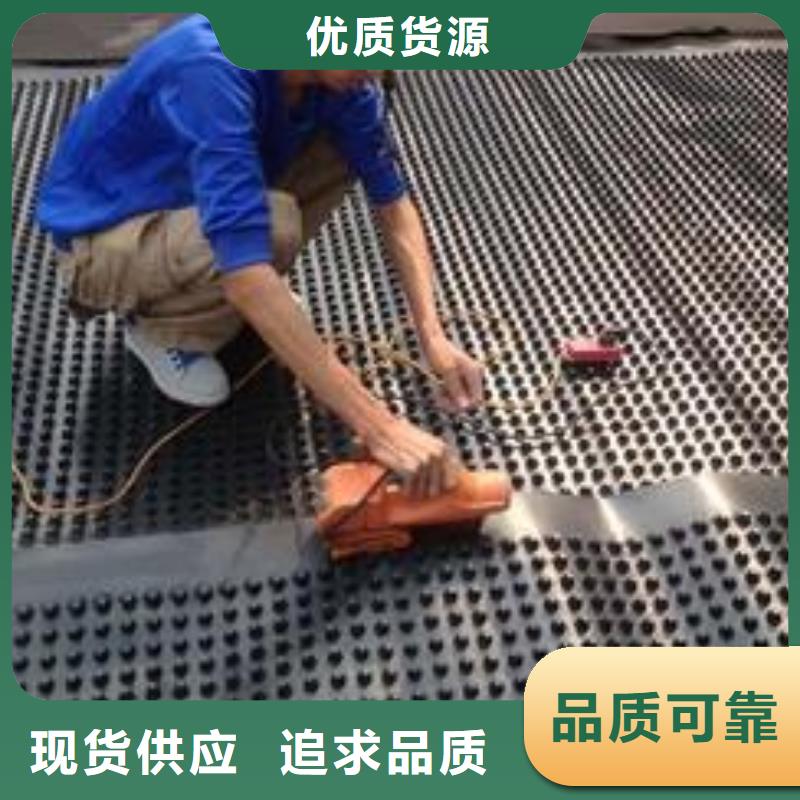 塑料排水板玻纤土工格栅今日价格