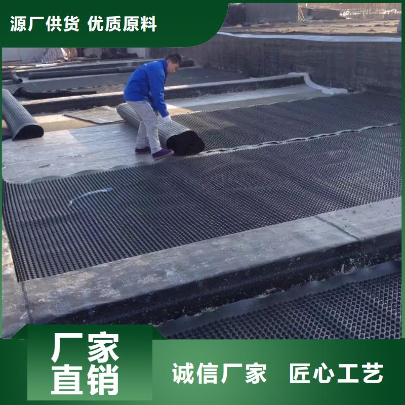 塑料排水板,复合土工膜货源直供