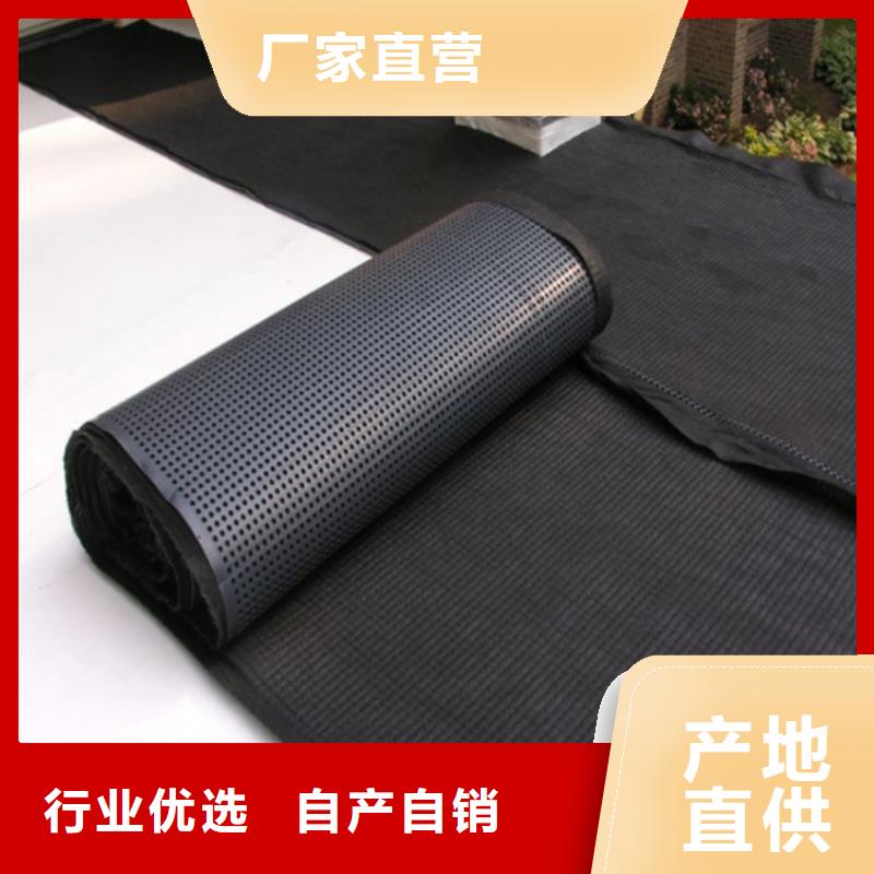 塑料排水板_三维土工网垫厂家案例