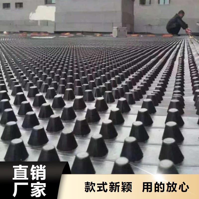塑料排水板,软式透水管做工精细