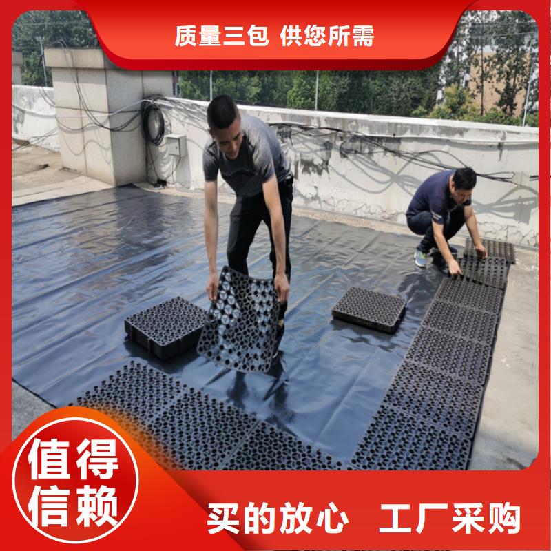 【 塑料排水板-土工布批发实力大厂家】本地品牌