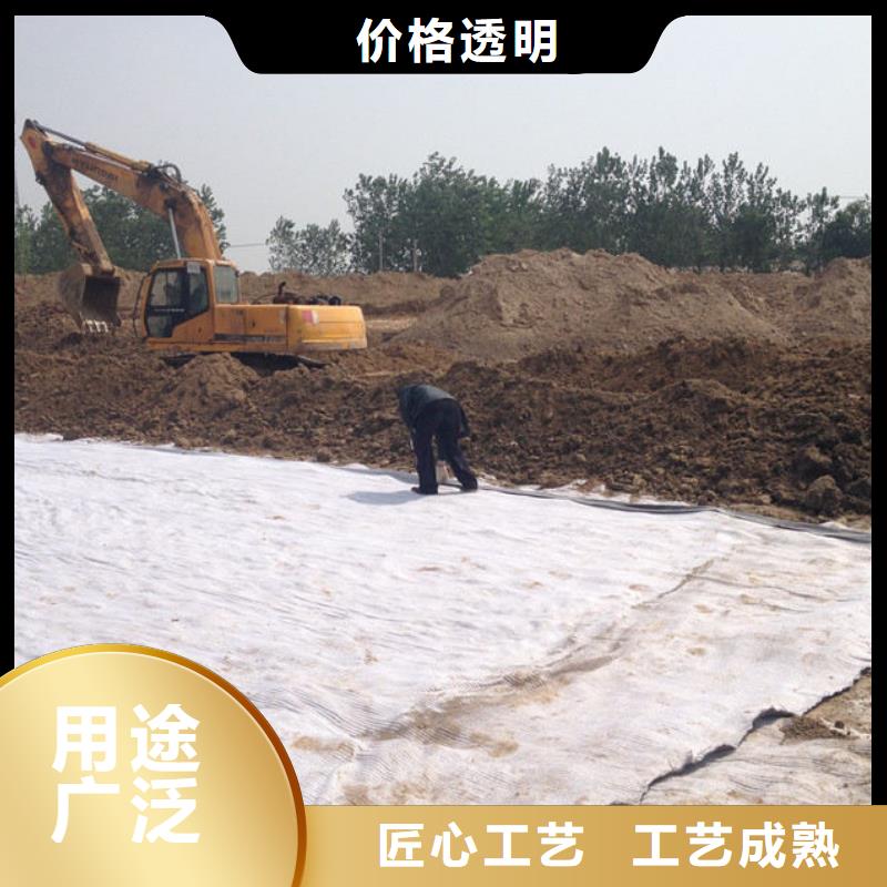 【 防水毯,多向塑料土工格栅源头厂商】同城品牌