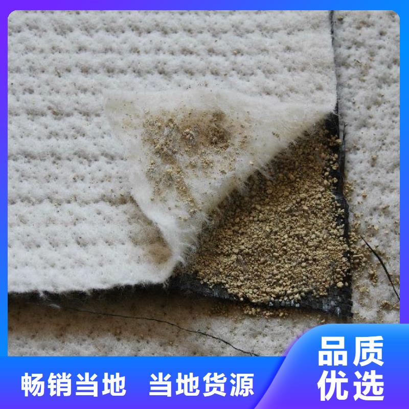 防水毯凸结点钢塑土工格栅多年行业积累