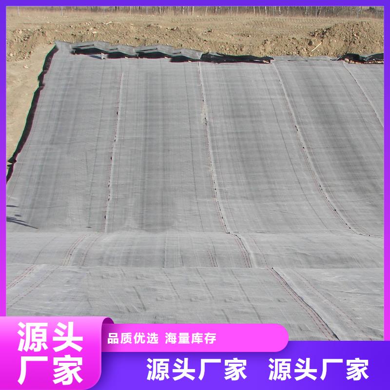 防水毯聚丙烯双拉土工格栅现货充足