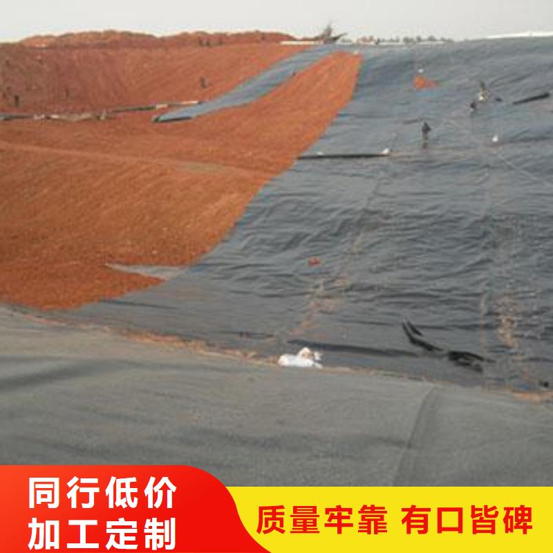 【低价货源 土工膜-玻璃纤维土工格栅多种场景适用】