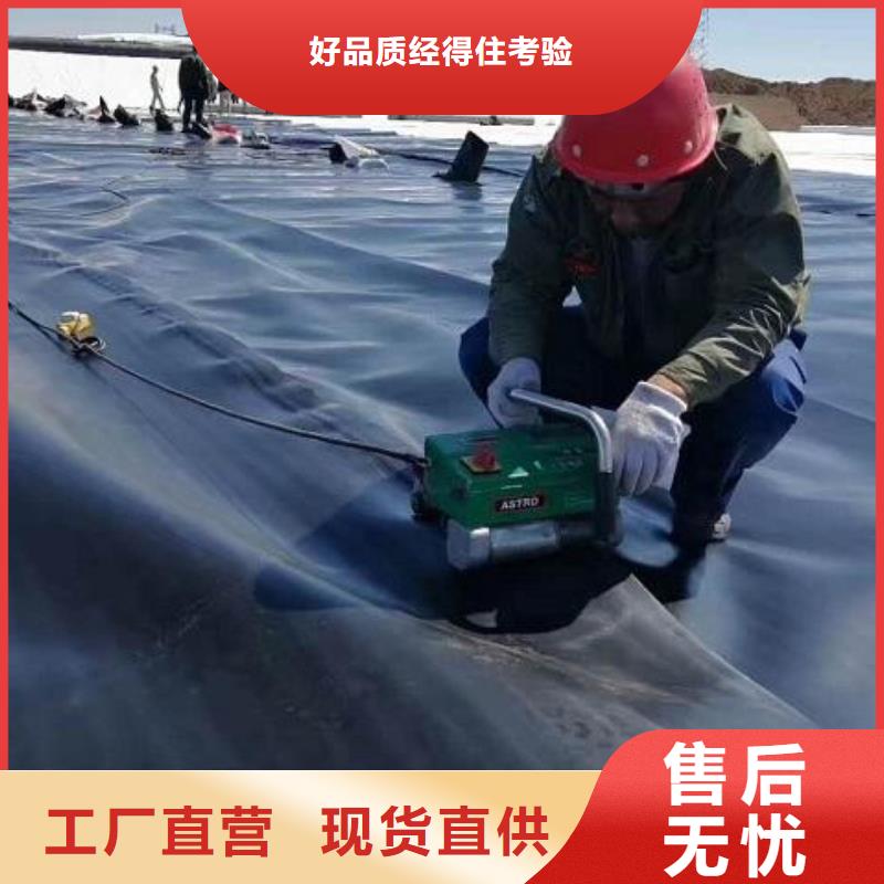 土工膜聚丙烯双拉土工格栅源厂定制