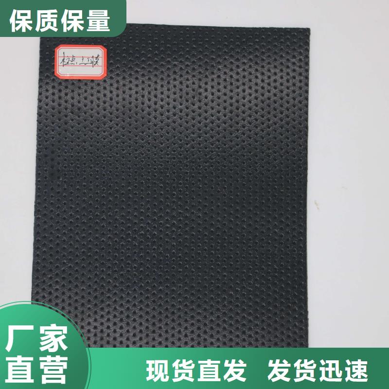 土工膜_双向塑料土工格栅用品质赢得客户信赖