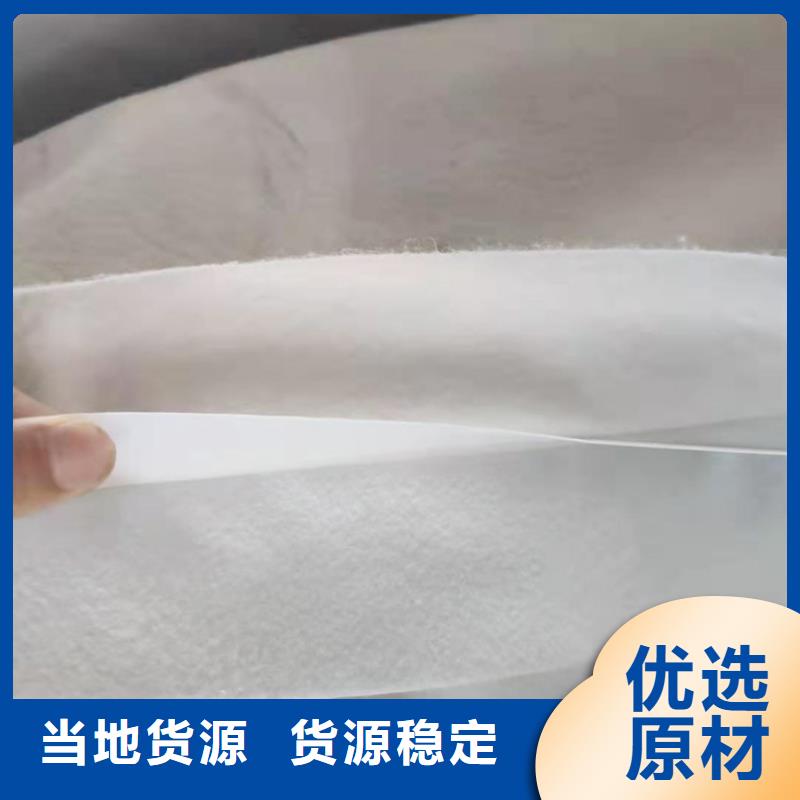 服务商【 土工膜,三维水土保护毯极速发货】