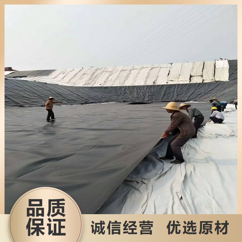 土工膜玻璃纤维土工格栅经销商