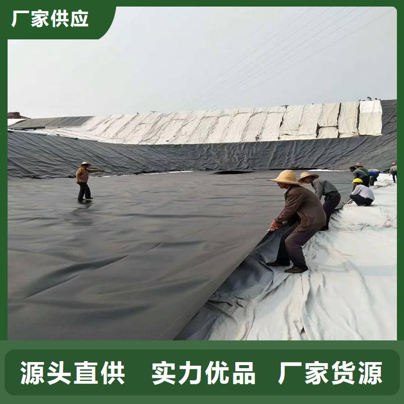 服务商【 土工膜,三维水土保护毯极速发货】