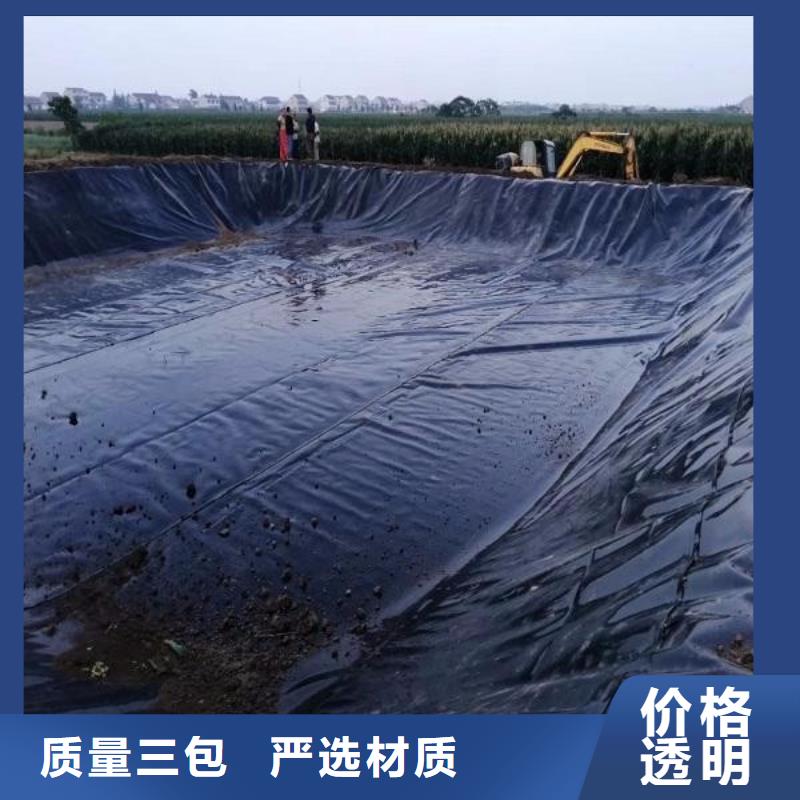 土工膜玻璃纤维土工格栅经销商