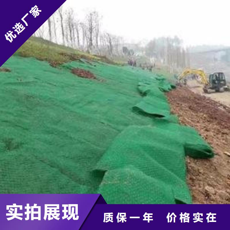 亿路通土工格室【三维植被网】_土工布批发同行低价