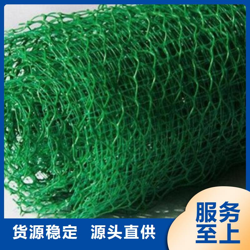 亿路通【 三维植被网-三维植被网厂家实力优品】-土工格室