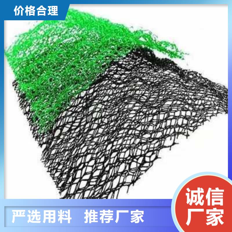 三维植被网_玻纤土工格栅按需设计