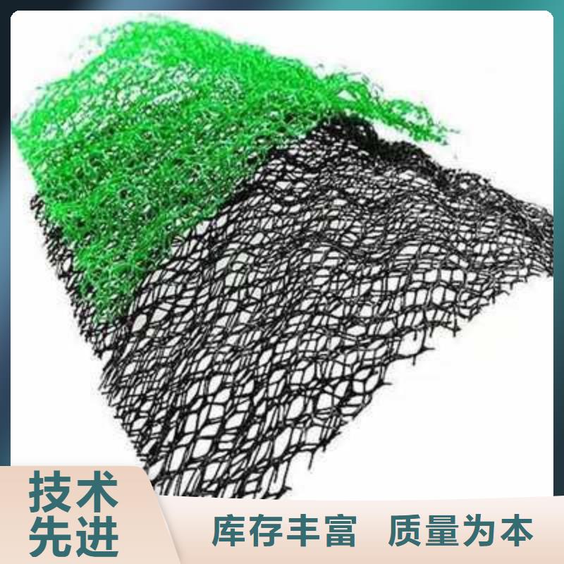 三维植被网-护坡土工网层层质检