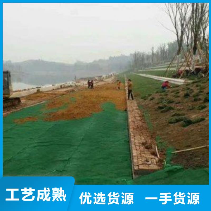 亿路通土工格室【三维植被网】_土工布批发同行低价
