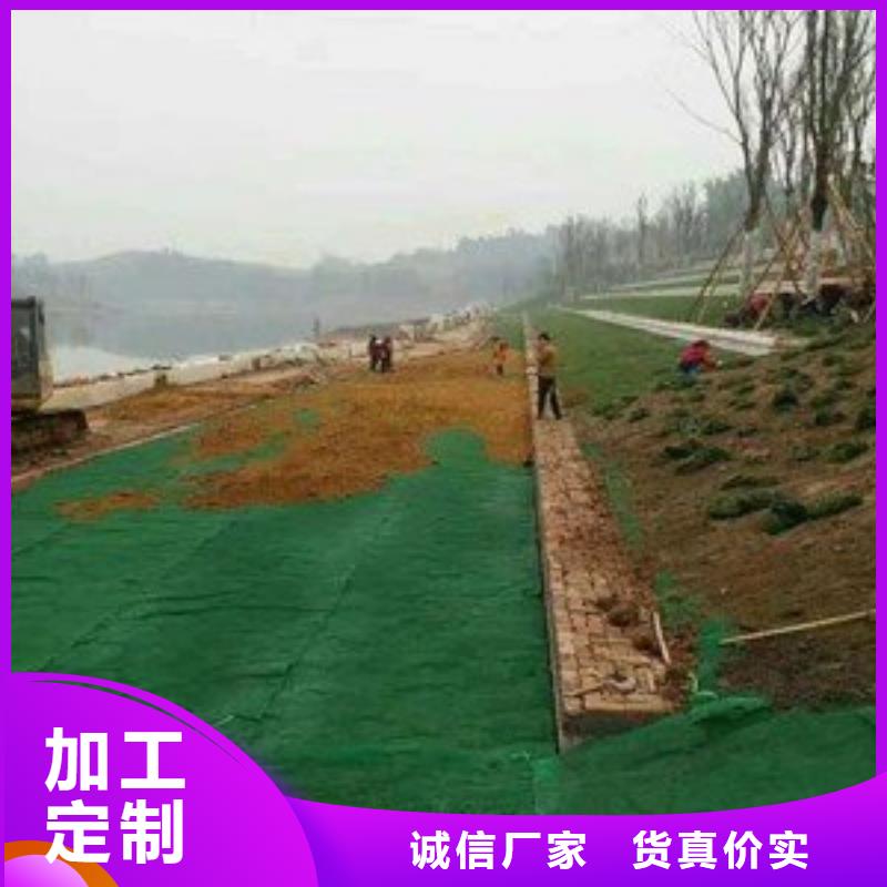 三维植被网土工布批发厂家技术完善
