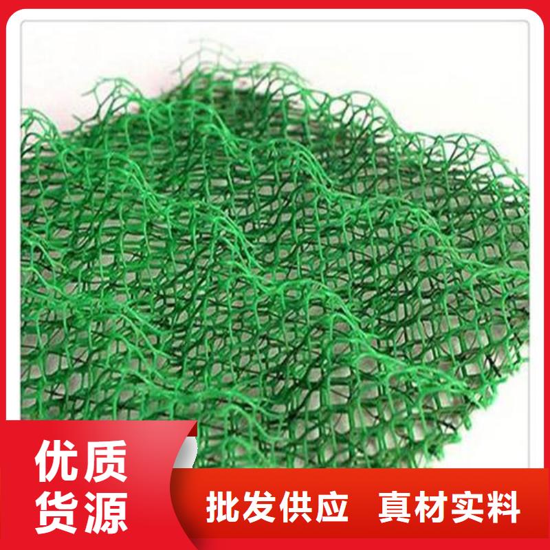 三维植被网土工布价格您身边的厂家