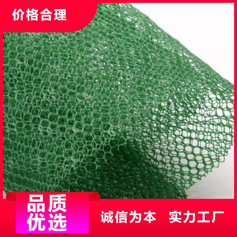 三维植被网硬式透水管专业生产厂家